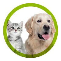 Tables de toilettage pour les professionnels du chien et du chat